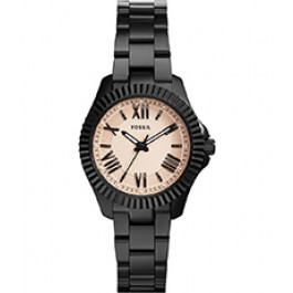 Pulseira de relógio Fossil AM4614 Aço inoxidável Preto 14mm