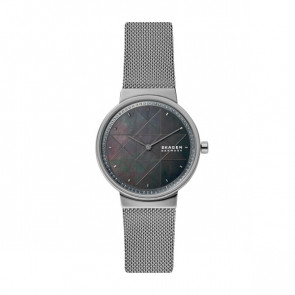 Pulseira de relógio Skagen SKW2832 Aço inoxidável Cinza 16mm