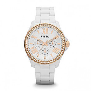 Pulseira de relógio Fossil AM4492 Plástico Branco 20mm
