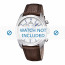 Festina pulseira de relogio F16779-2 Couro Marrom 24mm + costura marrom